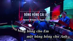 Bông Hồng Cài Áo – Gerard Williams & Thanh Tuyền