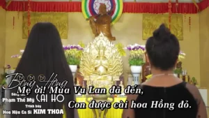 Bông Hồng Cài Áo – Kim Thoa