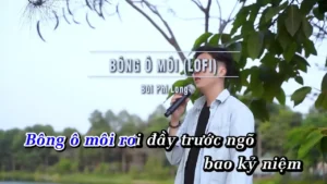 Bông Ô Môi (Lofi) – Bùi Phi Long