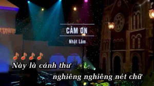 Cảm Ơn – Nhật Lâm