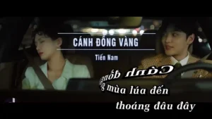 Cánh Đồng Vàng – Tiến Nam