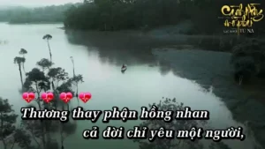 Cành Hồng Mờ Phai – Tú Na