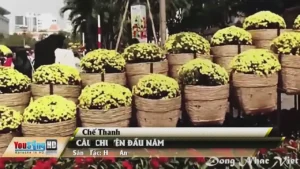 Câu Chuyện Đầu Năm – Chế Thanh