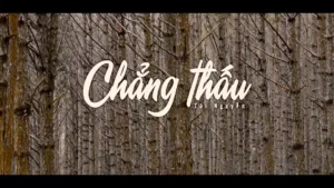 Chẳng Thấu – Tài Nguyễn