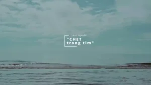 Chết Trong Tim (Tone Nữ) – Swan Nguyễn