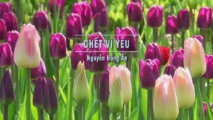 Chết Vì Yêu – Nguyễn Hồng Ân