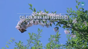 Chỉ Còn Mình Anh (Acoustic) – Tô Ngọc Hà