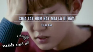 Chia Tay Hôm Nay Mai Là Gì Đây – Ty An Bảo