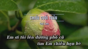 Chiều Cuối Tuần – Chế Linh