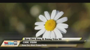 Chúc Xuân – Đàm Vĩnh Hưng & Dương Triệu Vũ