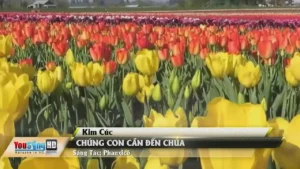 Chúng Con Cần Đến Chúa – Kim Cúc