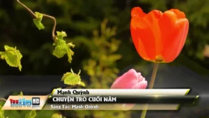 Chuyện Trò Cuối Năm – Mạnh Quỳnh