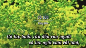 Có Lúc – Bằng Kiều