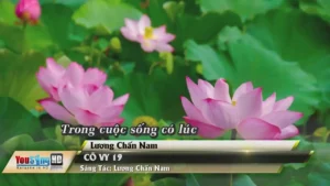 Cô Vy 19 – Lương Chấn Nam