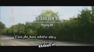 Cố Xóa Tên Ai – Phương NP