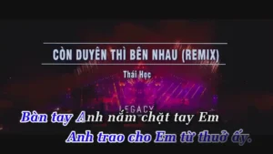 Còn Duyên Thì Bên Nhau (Remix) – Thái Học