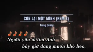 Còn Lại Một Mình (Remix) – Trung Quang