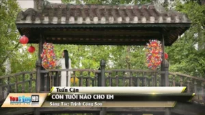 Còn Tuổi Nào Cho Em (Guitar) – Tuấn Cận