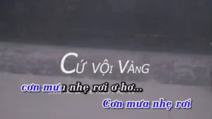 Cứ Vội Vàng – Rô Ti