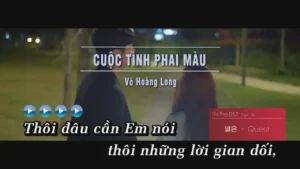 Cuộc Tình Phai Màu – Võ Hoàng Long