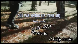 Cứu Vãn Không Kịp (Tone Nữ) – Vương Anh Tú