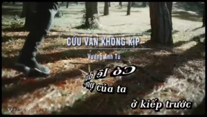 Cứu Vãn Không Kịp – Vương Anh Tú