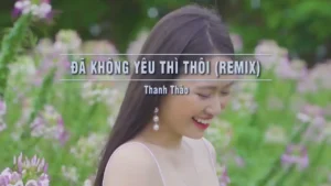 Đã Không Yêu Thì Thôi (Remix) – Thanh Thảo