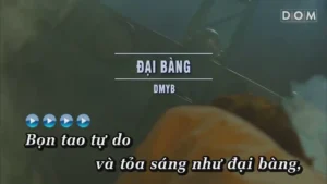 Đại Bàng – DMYB