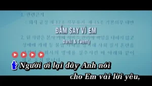 Đắm Say Vì Em – Darki & Twenty