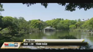 Dang Dở Tình Đầu – Phi Loan