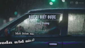 Đâu Ai Biết Được – Đăng Chương