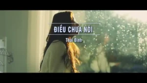 Điều Chưa Nói – Thái Đinh