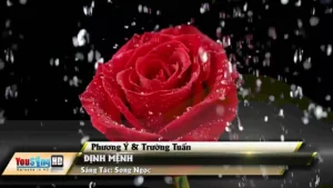 Định Mệnh – Phương Ý & Trường Tuấn