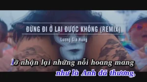 Đừng Đi Ở Lại Được Không (Remix) – Lương Gia Hùng