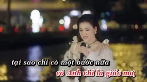 Dừng Yêu – Mira Trần & Negav