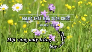 Em Đã Thấy Mùa Xuân Chưa – Lâm Nhật Tiến