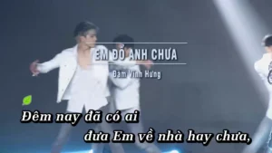 Em Đổ Anh Chưa – Đàm Vĩnh Hưng