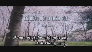 Em Đừng Nói Gì Thêm Nữa – Thành Luân