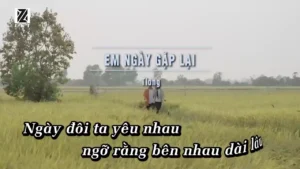 Em Ngày Gặp Lại – TLong