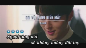 Em Vội Vàng Biến Mất – NamD