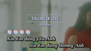 Falling in Love – Dũng Mario