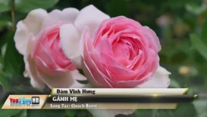 Gánh Mẹ – Đàm Vĩnh Hưng