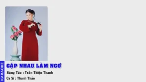 Gặp Nhau Làm Ngơ – Đàm Vĩnh Hưng & Thanh Thảo