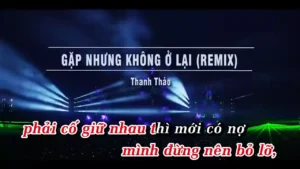 Gặp Nhưng Không Ở Lại (Remix) – Thanh Thảo