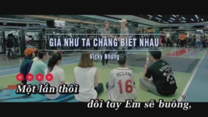 Giá Như Ta Chẳng Biết Nhau – Vicky Nhung