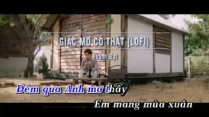 Giấc Mơ Có Thật (Lofi) – Thành Đạt