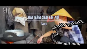 Hai Năm Sao Em Nỡ – TLong