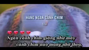 Hàng Ngàn Cánh Chim – Trini