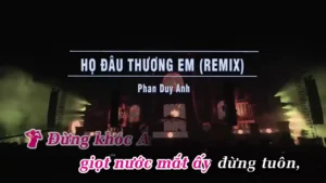 Họ Đâu Thương Em (Remix) – Ngân Ngân & Phan Duy Anh