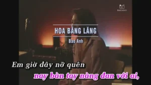 Hoa Bằng Lăng – Bảo Anh